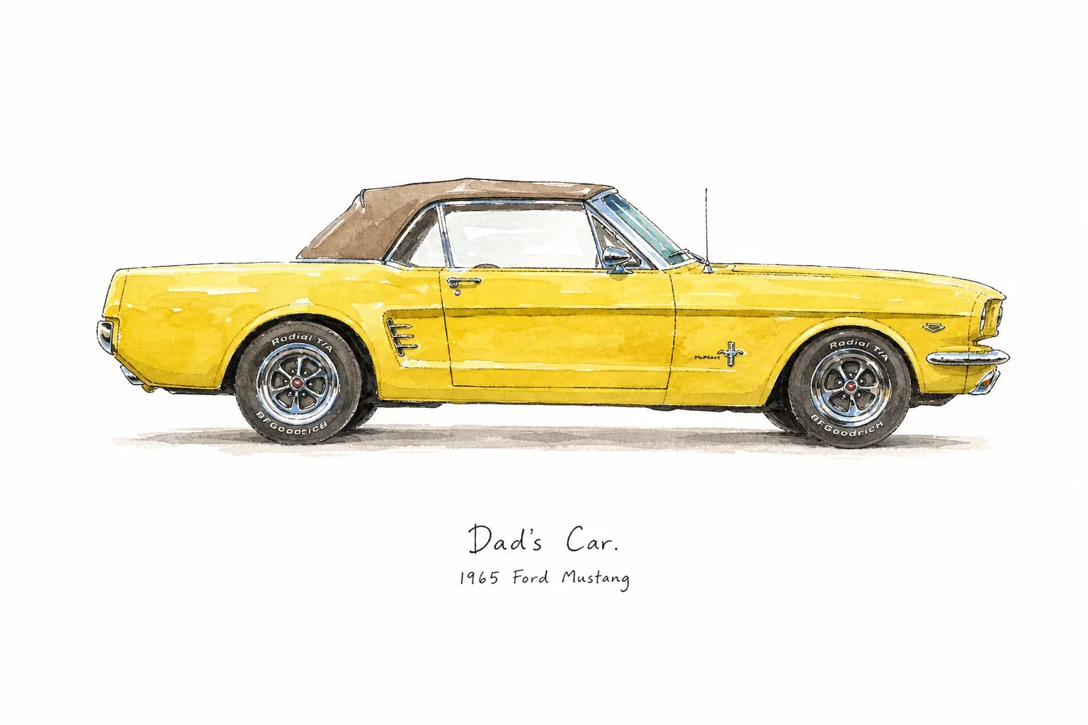 Collector's Wash